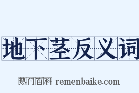 地下茎反义词是什么意思的图片